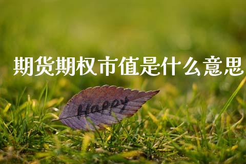 期货期权市值是什么意思_https://www.fsyjjx.cn_期货在线_第1张