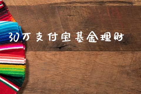 30万支付宝基金理财_https://www.fsyjjx.cn_问财精选_第1张