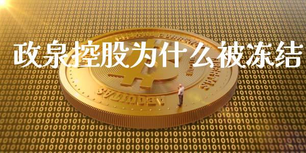 政泉控股为什么被冻结_https://www.fsyjjx.cn_期货资讯_第1张