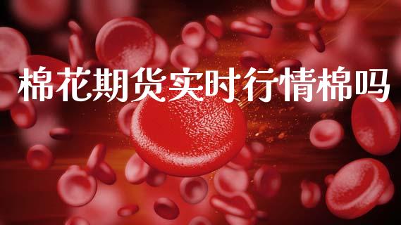 棉花期货实时行情棉吗_https://www.fsyjjx.cn_期货资讯_第1张