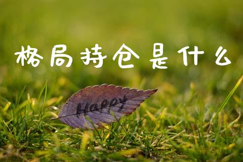 格局持仓是什么_https://www.fsyjjx.cn_期货在线_第1张