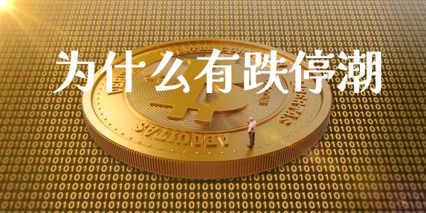 为什么有跌停潮_https://www.fsyjjx.cn_期货在线_第1张