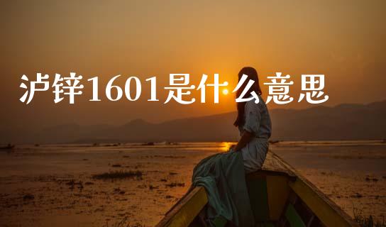 泸锌1601是什么意思_https://www.fsyjjx.cn_股指期货_第1张