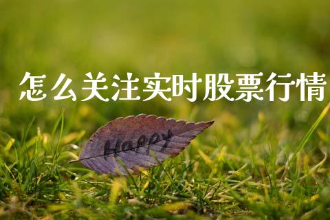 怎么关注实时股票行情_https://www.fsyjjx.cn_股市分析_第1张
