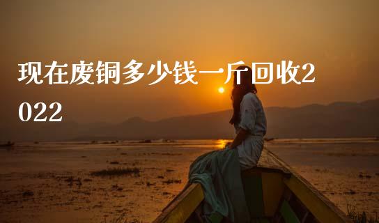 现在废铜多少钱一斤回收2022_https://www.fsyjjx.cn_期货研报_第1张