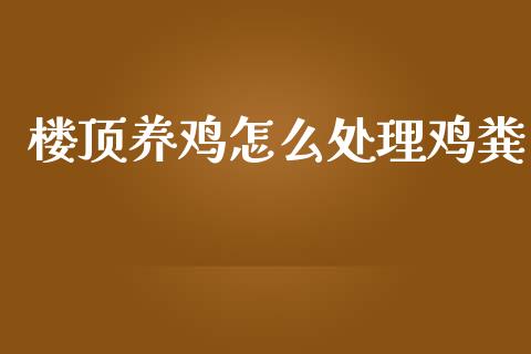 楼顶养鸡怎么处理鸡粪_https://www.fsyjjx.cn_期货研报_第1张