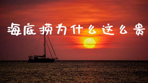 海底捞为什么这么贵_https://www.fsyjjx.cn_理财资讯_第1张