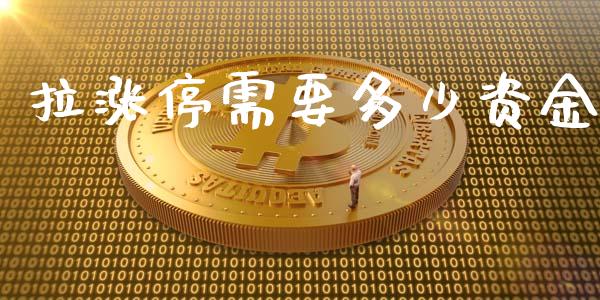 拉涨停需要多少资金_https://www.fsyjjx.cn_理财资讯_第1张