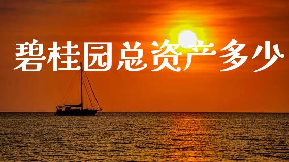碧桂园总资产多少_https://www.fsyjjx.cn_问财精选_第1张