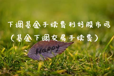 下调基金手续费利好股市吗（基金下调交易手续费）_https://www.fsyjjx.cn_问财精选_第1张