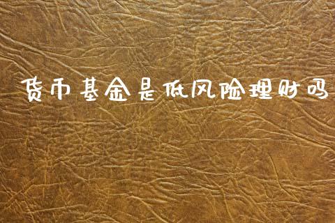 货币基金是低风险理财吗_https://www.fsyjjx.cn_理财资讯_第1张