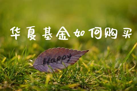 华夏基金如何购买_https://www.fsyjjx.cn_股指期货_第1张