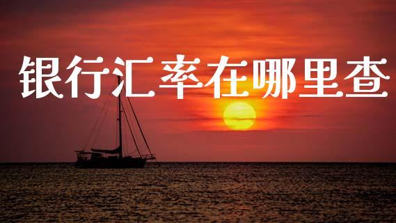 银行汇率在哪里查_https://www.fsyjjx.cn_期货研报_第1张