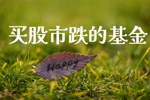 买股市跌的基金_https://www.fsyjjx.cn_问财精选_第1张