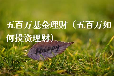 五百万基金理财（五百万如何投资理财）_https://www.fsyjjx.cn_理财资讯_第1张