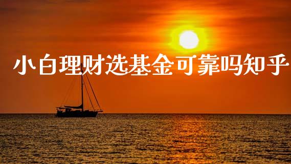 小白理财选基金可靠吗知乎_https://www.fsyjjx.cn_理财资讯_第1张