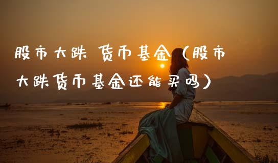 股市大跌 货币基金（股市大跌货币基金还能买吗）_https://www.fsyjjx.cn_理财资讯_第1张