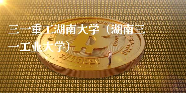 三一重工湖南大学（湖南三一工业大学）_https://www.fsyjjx.cn_股指期货_第1张