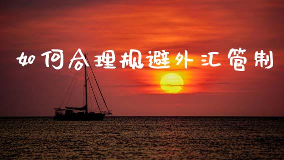 如何合理规避外汇管制_https://www.fsyjjx.cn_股票指导_第1张