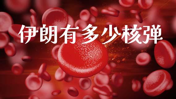 伊朗有多少核弹_https://www.fsyjjx.cn_期货资讯_第1张