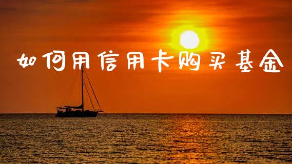 如何用信用卡购买基金_https://www.fsyjjx.cn_问财精选_第1张