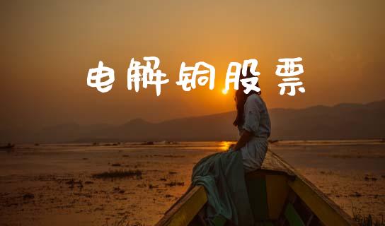 电解铜股票_https://www.fsyjjx.cn_期货资讯_第1张