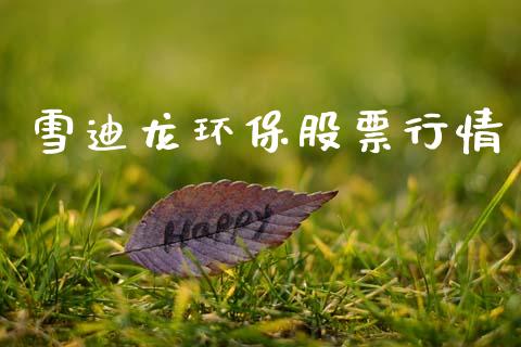 雪迪龙环保股票行情_https://www.fsyjjx.cn_股票指导_第1张