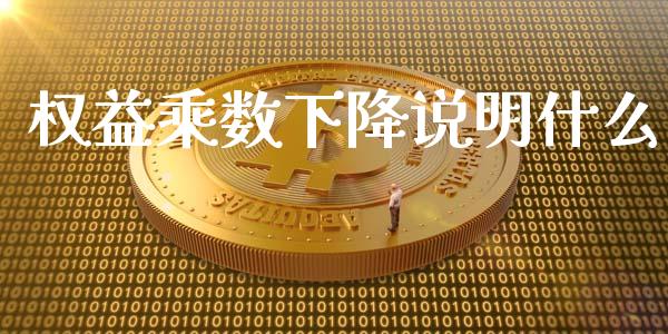 权益乘数下降说明什么_https://www.fsyjjx.cn_股市分析_第1张
