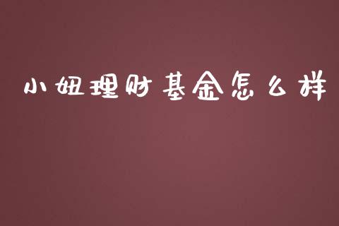 小妞理财基金怎么样_https://www.fsyjjx.cn_问财精选_第1张