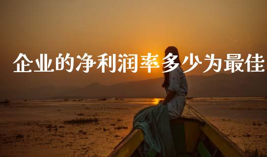 企业的净利润率多少为最佳_https://www.fsyjjx.cn_期货资讯_第1张