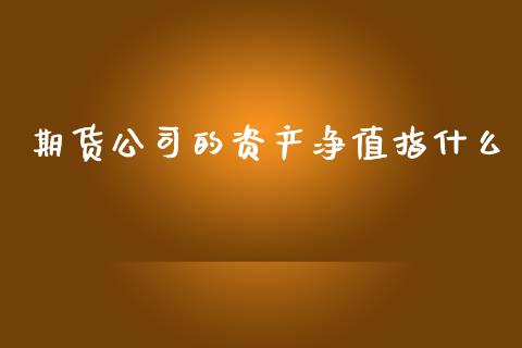 期货公司的资产净值指什么_https://www.fsyjjx.cn_股市分析_第1张