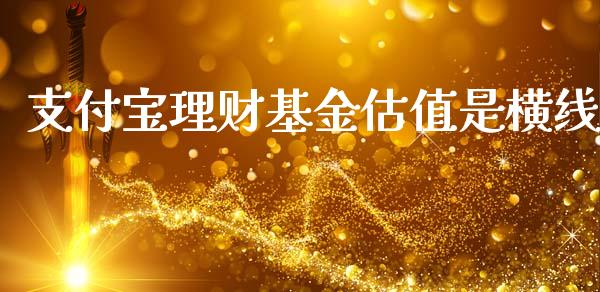 支付宝理财基金估值是横线_https://www.fsyjjx.cn_问财精选_第1张
