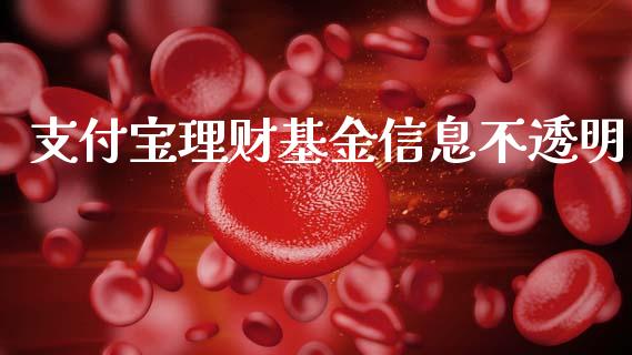 支付宝理财基金信息不透明_https://www.fsyjjx.cn_问财精选_第1张