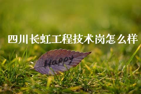 四川长虹工程技术岗怎么样_https://www.fsyjjx.cn_问财精选_第1张