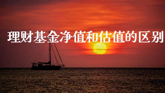 理财基金净值和估值的区别_https://www.fsyjjx.cn_问财精选_第1张