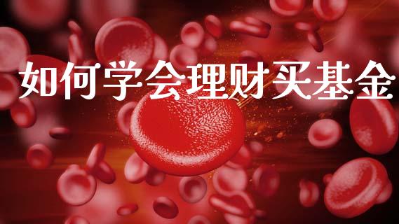 如何学会理财买基金_https://www.fsyjjx.cn_问财精选_第1张