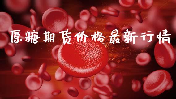 原糖期货价格最新行情_https://www.fsyjjx.cn_期货研报_第1张