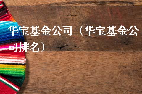 华宝基金公司（华宝基金公司排名）_https://www.fsyjjx.cn_问财精选_第1张
