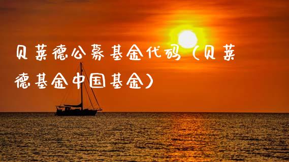 贝莱德公募基金代码（贝莱德基金中国基金）_https://www.fsyjjx.cn_问财精选_第1张