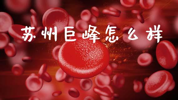 苏州巨峰怎么样_https://www.fsyjjx.cn_股市分析_第1张