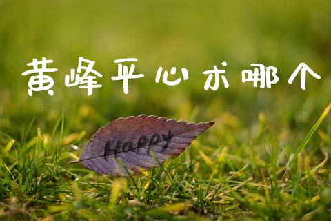 黄峰平心术哪个_https://www.fsyjjx.cn_期货资讯_第1张
