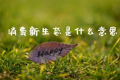 消费新生态是什么意思_https://www.fsyjjx.cn_期货资讯_第1张