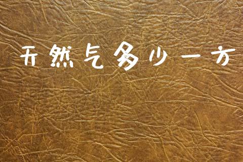 天然气多少一方_https://www.fsyjjx.cn_理财资讯_第1张