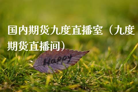 国内期货九度直播室（九度期货直播间）_https://www.fsyjjx.cn_期货在线_第1张