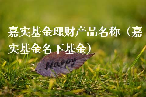 嘉实基金理财产品名称（嘉实基金名下基金）_https://www.fsyjjx.cn_理财资讯_第1张