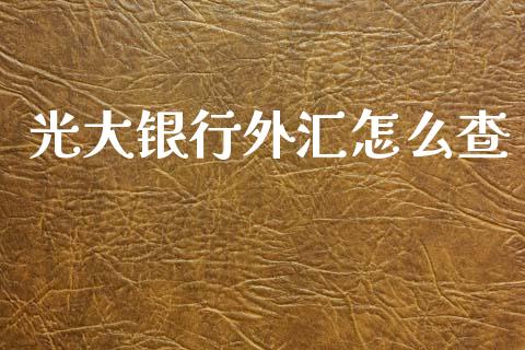 光大银行外汇怎么查_https://www.fsyjjx.cn_问财精选_第1张