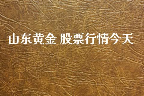 山东黄金 股票行情今天_https://www.fsyjjx.cn_股市分析_第1张
