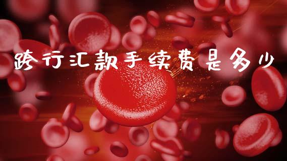 跨行汇款手续费是多少_https://www.fsyjjx.cn_股指期货_第1张