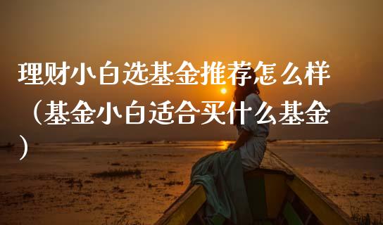 理财小白选基金推荐怎么样（基金小白适合买什么基金）_https://www.fsyjjx.cn_问财精选_第1张