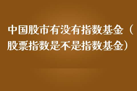 中国股市有没有指数基金（股票指数是不是指数基金）_https://www.fsyjjx.cn_问财精选_第1张